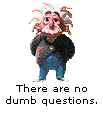  There are, however, dumb questioners. 